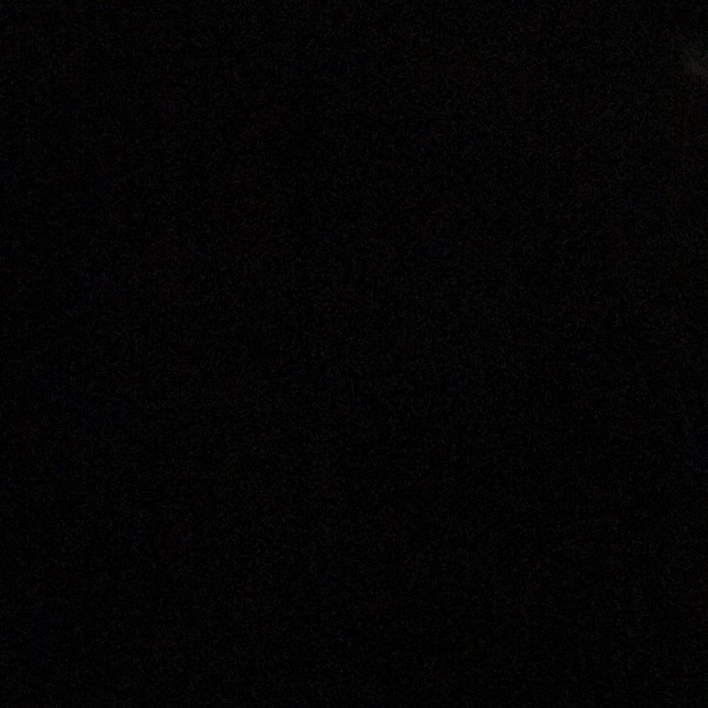 Meet your Posher, Rose